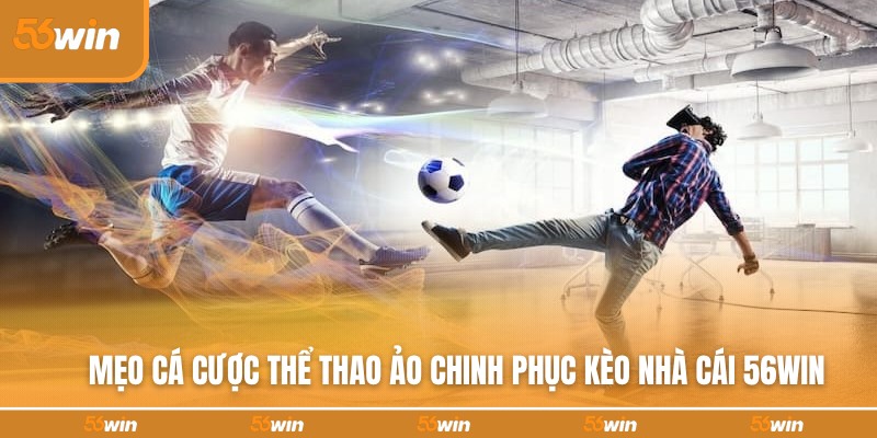 meo-ca-cuoc-the-thao-ao