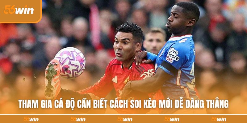 Tham gia cá độ cần biết cách soi kèo mới dễ dàng thắng